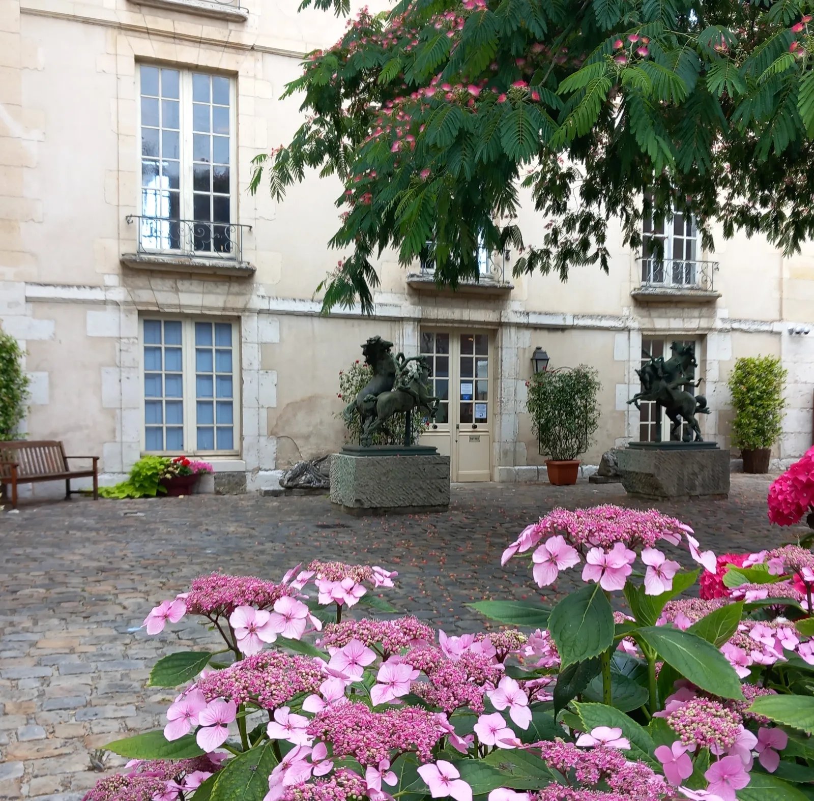 🖼️ 에치고츠마리 사토야마 현대미술관 MonET(에치고츠마리 사토야마 겐다이비쥬츠칸 모네) 이미지 3